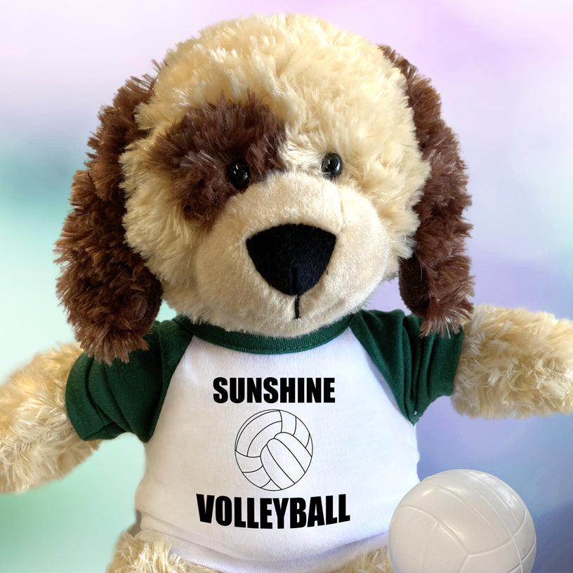 Personalized volleyball teddy bears and stuffed animals