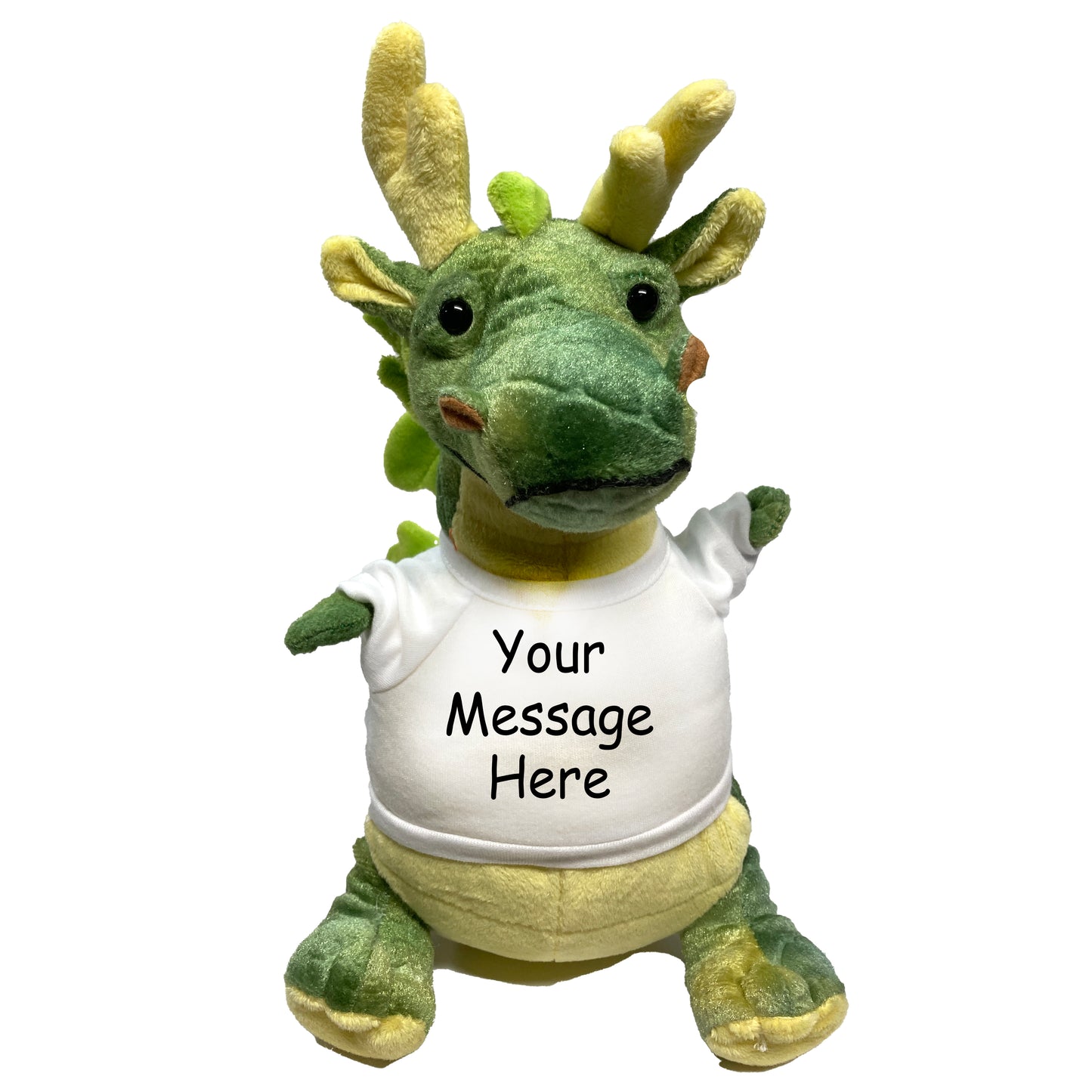 Personalized Small 11" Plush Green Dragon