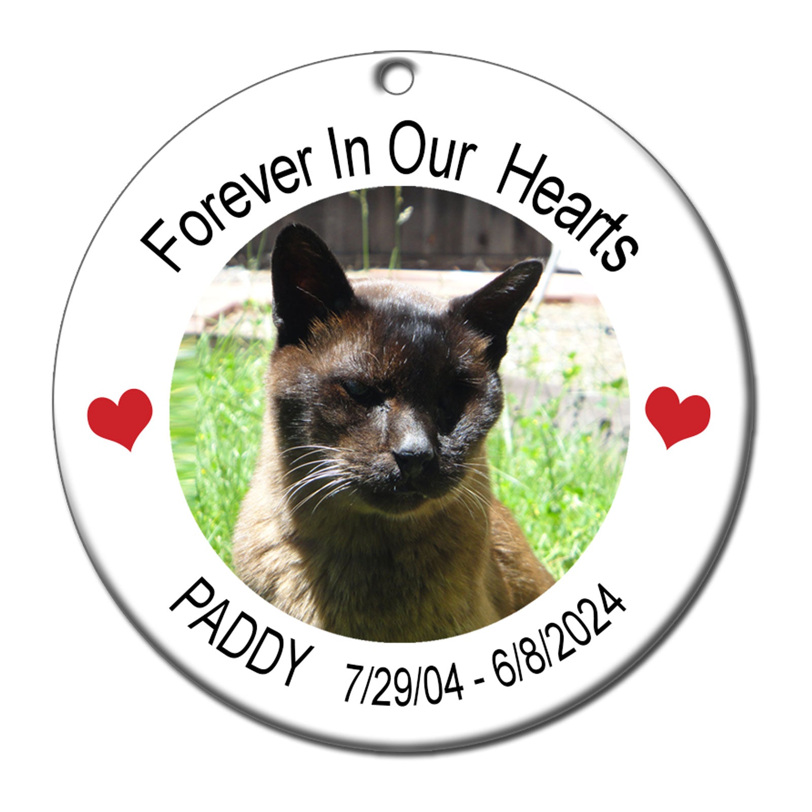 Pet Memorial Photo Personalized Christmas Ornament