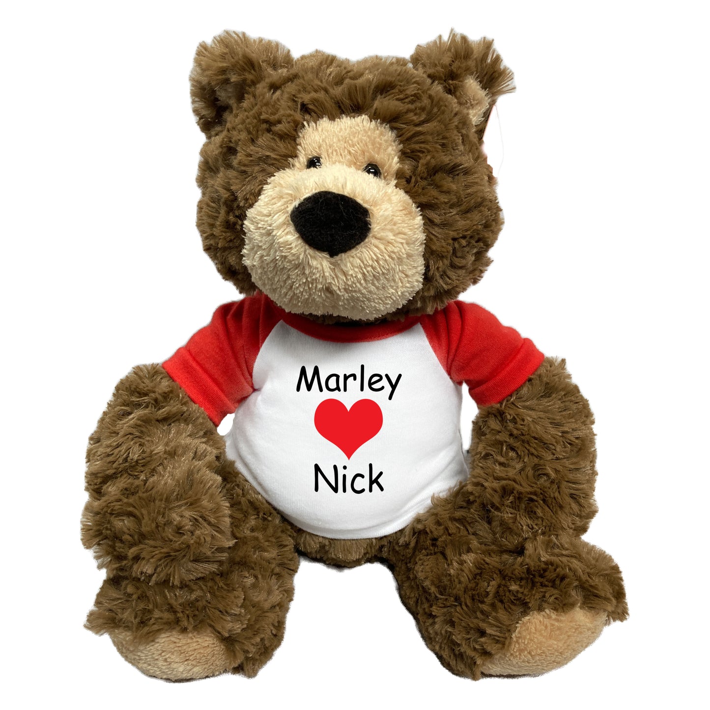 Personalized Valentine Teddy Bear - 14" Bear Hugs